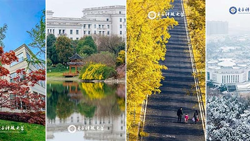 五大常用电子元器件：揭秘其核心特性和应用场景**