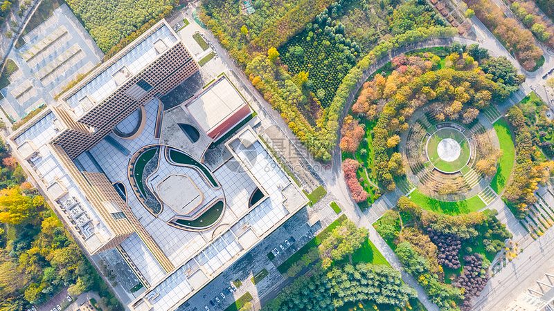 电子设备柔性板定制：揭秘其关键技术与选型要点
